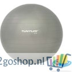 Tunturi Fitness bal - Yoga bal inclusief pomp - Pilates bal - Zwangerschaps bal - 65 cm - Kleur: zilver