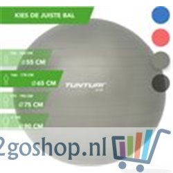 Tunturi Fitness bal - Yoga bal inclusief pomp - Pilates bal - Zwangerschaps bal - 65 cm - Kleur: zilver