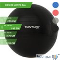 Tunturi Fitness bal - Yoga bal inclusief pomp - Pilates bal - Zwangerschaps bal - 65 cm - kleur: Zwart